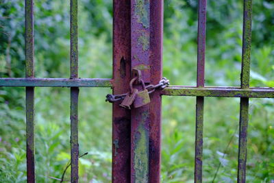 Close-up of closed metal gate