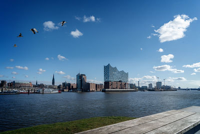 Hamburg harbour with view of the elbphilharmonie