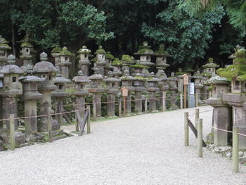 View of cemetery against trees