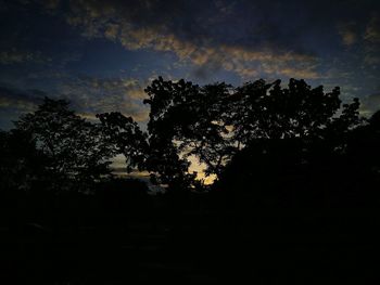 Silhouette trees in forest against sky at night