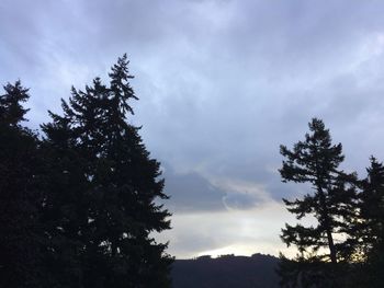 Low angle view of silhouette tree against sky