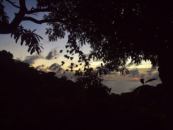 Silhouette trees on landscape against sky at sunset