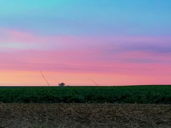 Scenic view of field against sky during sunset