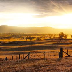 Sunset over field