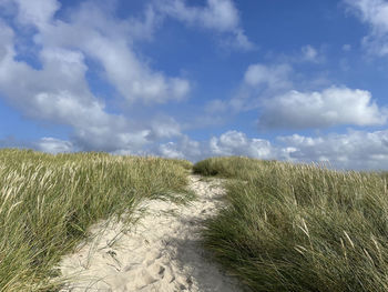 Scenic view of field against sky