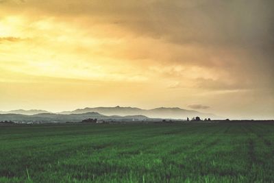 Scenic view of grassy field against cloudy sky