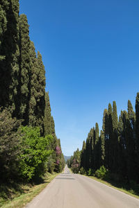 Road amidst trees against clear blue sky