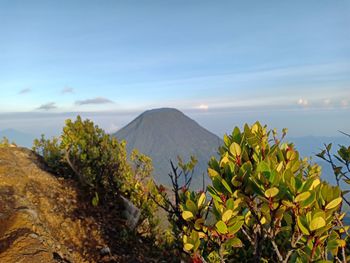 Scenic view of sea and mountains against sky