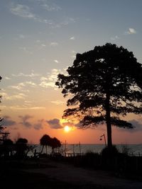 Silhouette trees on beach against sky during sunset