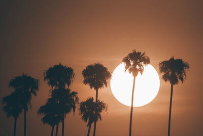 Low angle view of silhouette palm trees against romantic sky