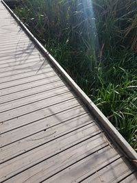 High angle view of wood by lake