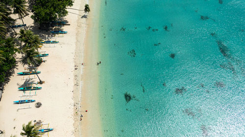 Aerial view of sandy beach with palm trees and ocean surf with waves. pagudpud, philippines