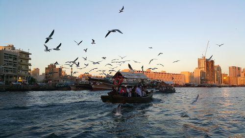 Birds flying over sea against sky in city