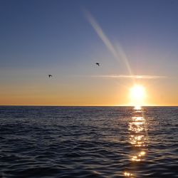 Scenic view of sea against clear sky during sunset