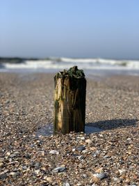 Surface level of wooden post on beach against clear sky