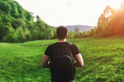 Rear view of man looking at field