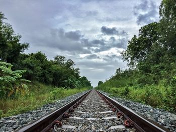 Surface level of railroad track amidst trees against sky