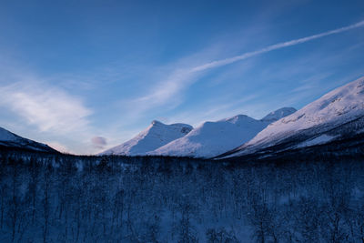 Scenic winter forest landscape with snow covered mountains and blue sky.