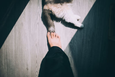 Low section of person standing by cat on hardwood floor