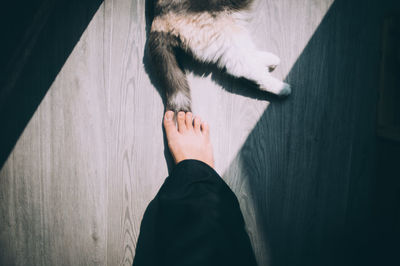 Low section of person standing on cat