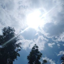 Low angle view of tree against cloudy sky