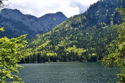 Scenic view of lake by trees against sky