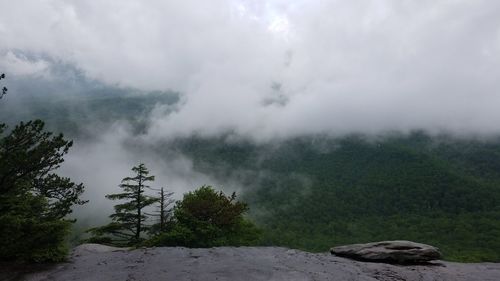 Scenic view of trees against sky during foggy weather