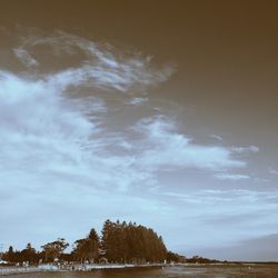 View of trees against sky