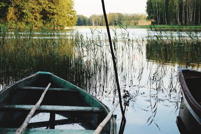 Scenic view of lake against trees