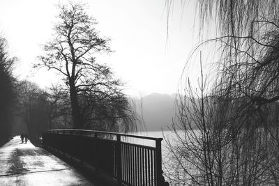 Bare trees in foggy weather against sky