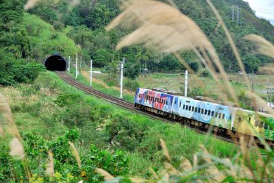 Train on railroad track