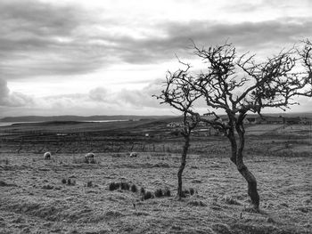 View from isle of lewis