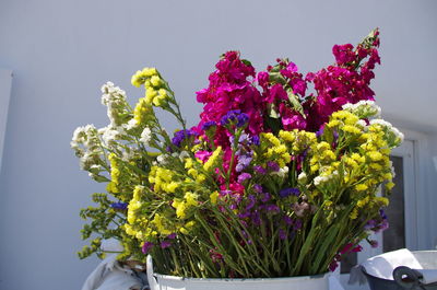 Close-up of flowers