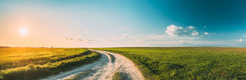 Scenic view of agricultural field against sky