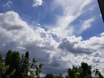 Low angle view of trees against sky