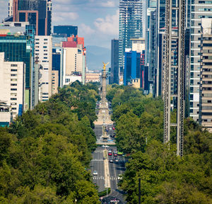 Buildings in city