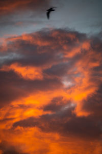 Low angle view of cloudy sky during sunset