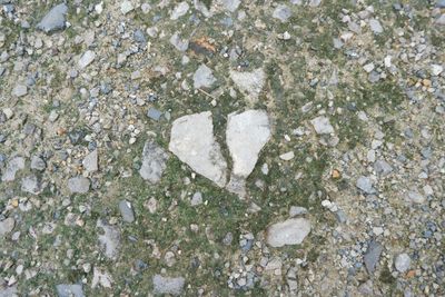 High angle view of heart shape on rock