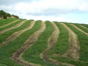 Scenic view of field against sky