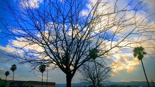 Low angle view of silhouette bare tree against sky