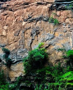 Low angle view of rock formations