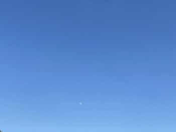 Low angle view of moon against clear blue sky