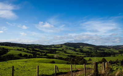 Scenic view of agricultural field against sky