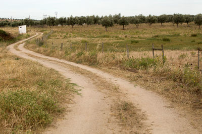 Road amidst field against sky