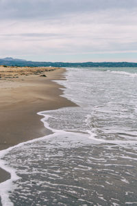 Lonely beach in the delta del ebro, tarragona, spain. the day is cloudy and windy.