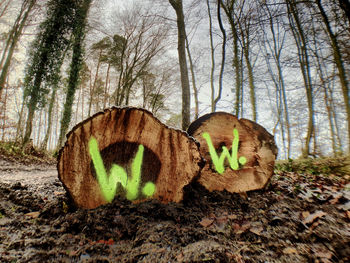 Graffiti on tree trunk in forest