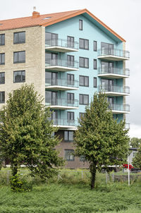 Tree by building against sky