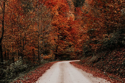 Road amidst trees in forest during autumn