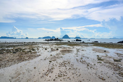 Scenic view of beach against sky