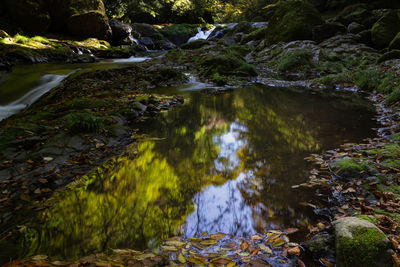 River flowing through rocks in forest